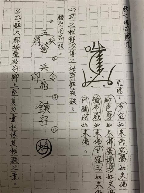 符膽花字|【符膽花字】揭開符膽花字的神秘面紗，探索漢字中的秘辛